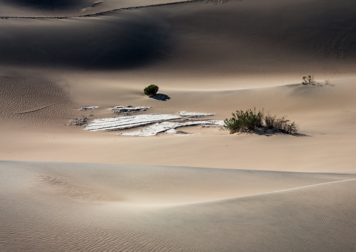 Mesquite Dunes 16-6721.jpg